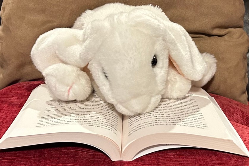 Marshmallow is reading Shatter Me by Tahereh Mafi.