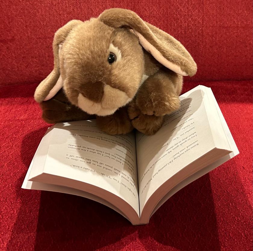 Caramel is reading The One and Only Bob by Katherine Applegate.