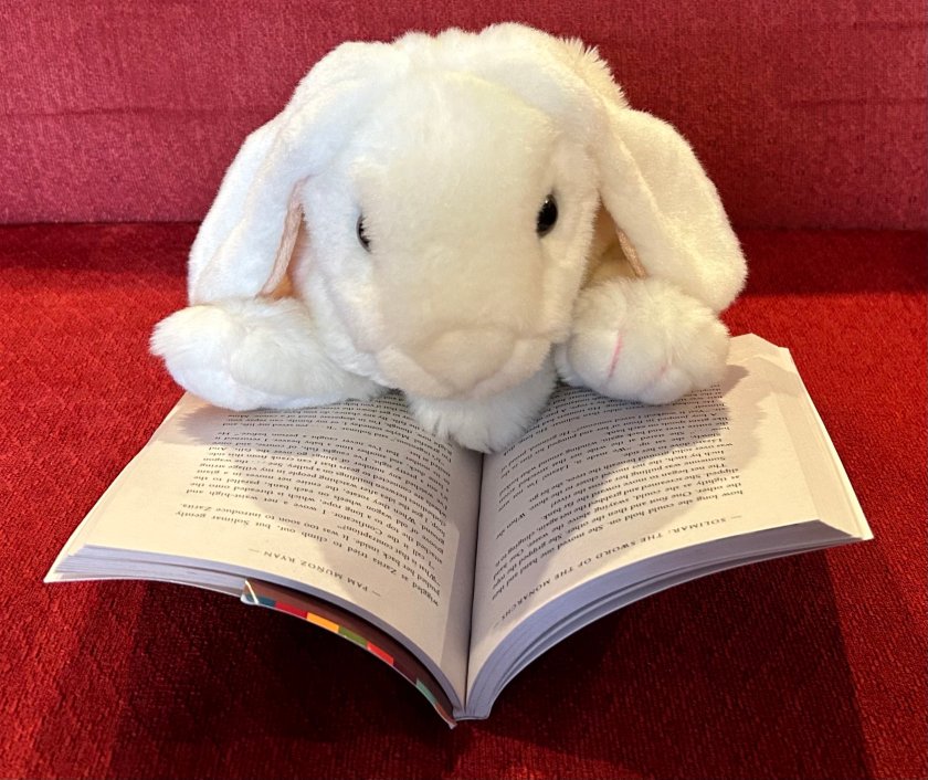 Marshmallow is reading Solimar: The Sword of the Monarchs by Pam Muñoz Ryan.