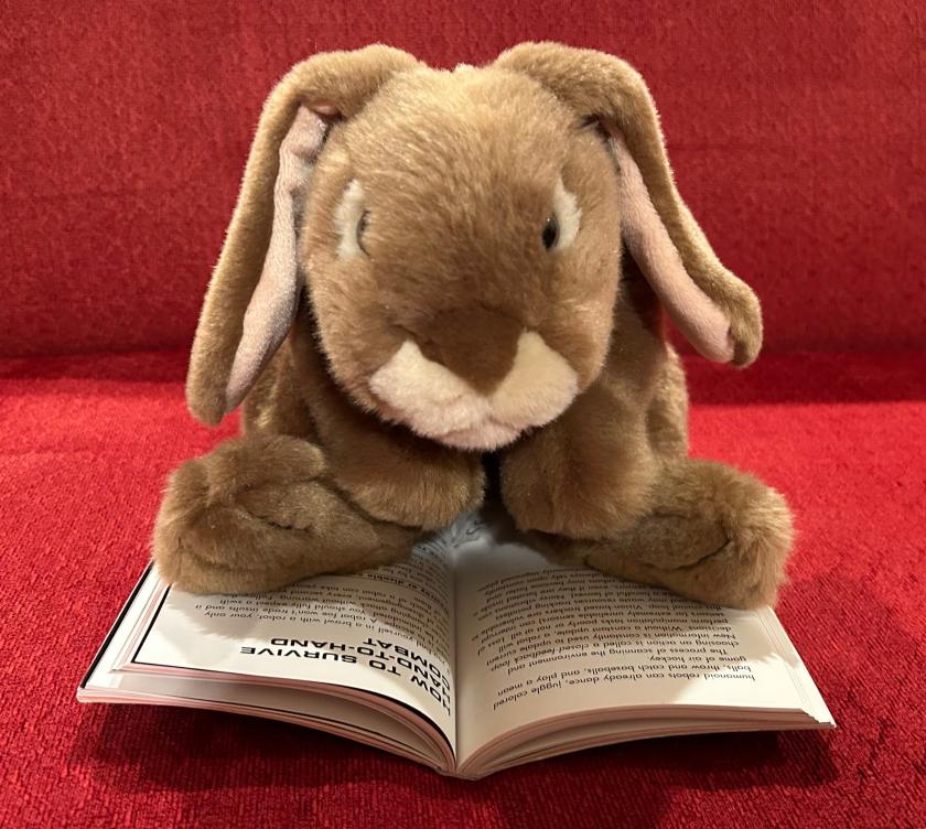 Caramel is reading How to Survive a Robot Uprising: Tips on Defending Yourself Against the Coming Rebellion by Daniel H. Wilson.