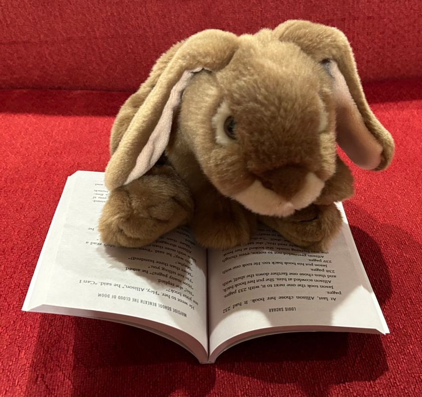 Caramel is reading Wayside School Beneath the Cloud of Doom by Louis Sachar.