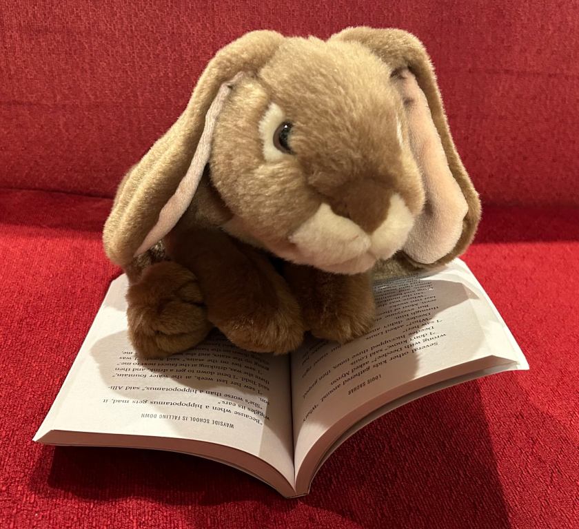 Caramel is reading Wayside School Is Falling Down by Louis Sachar.
