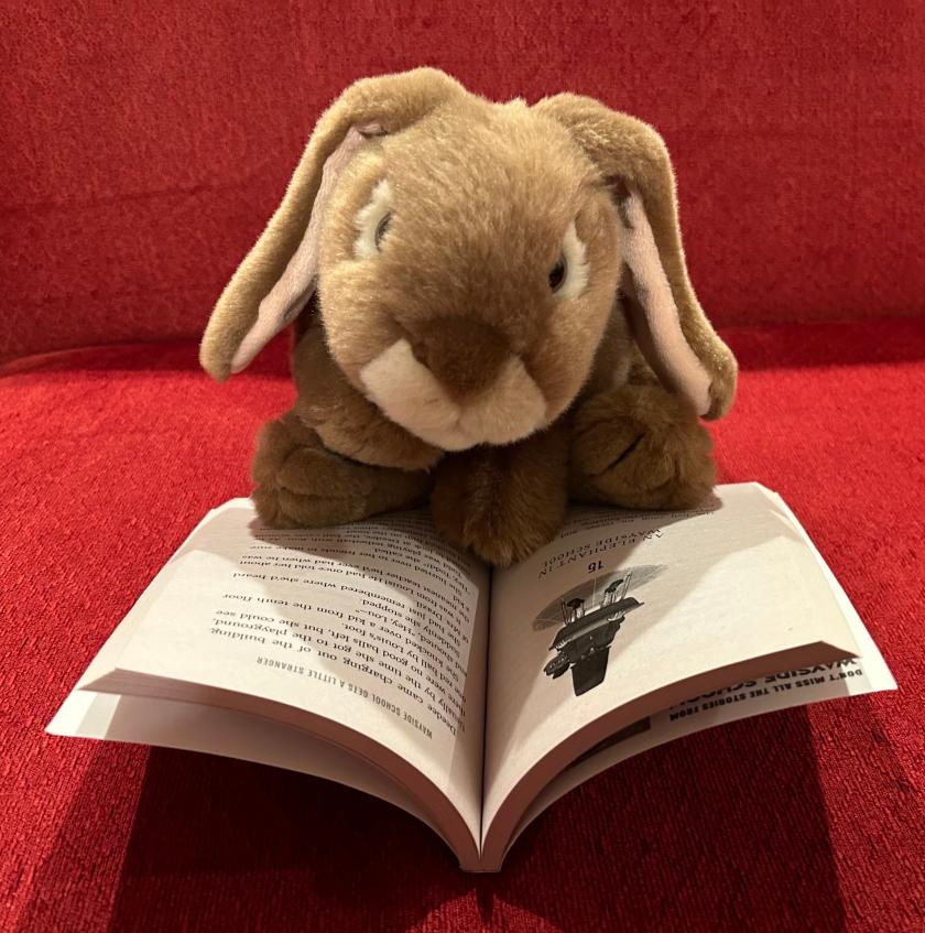 Caramel is reading Wayside School Gets A Little Stranger by Louis Sachar.