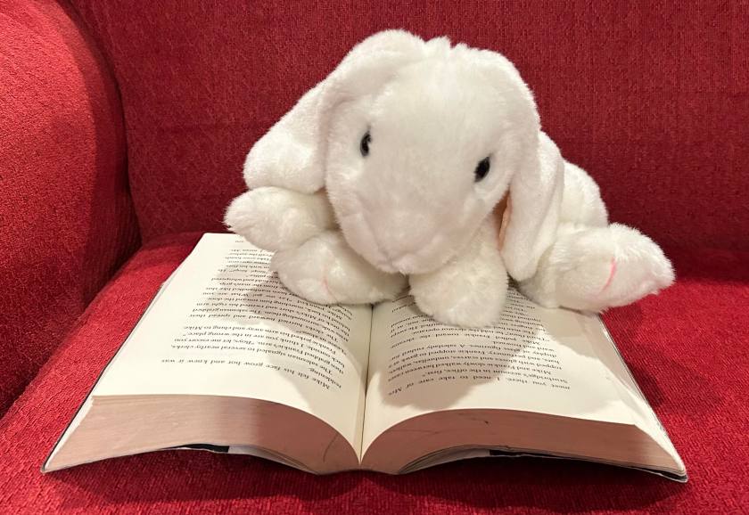 Marshmallow is reading Echo by Pam Muñoz Ryan.