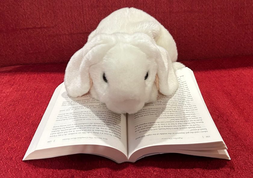 Marshmallow is reading Miss Marple: The Complete Short Stories by Agatha Christie.