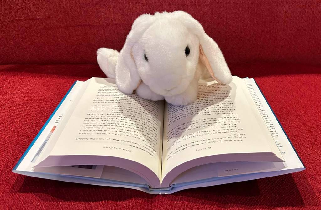 Marshmallow is reading Our Missing Hearts by Celeste Ng.