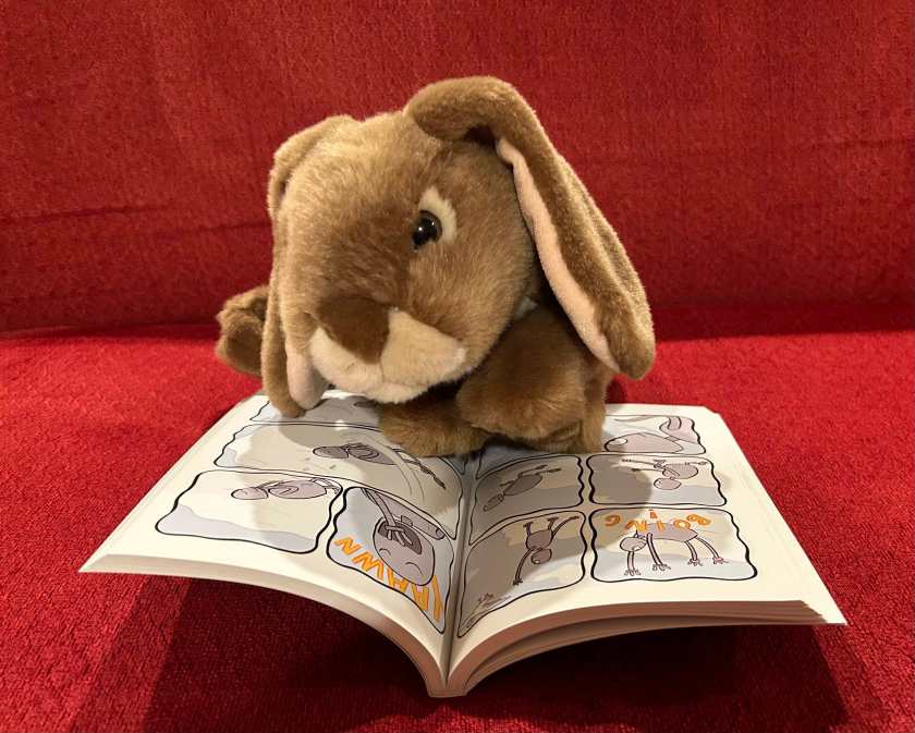 Caramel is reading Robot Dreams by Sara Varon.