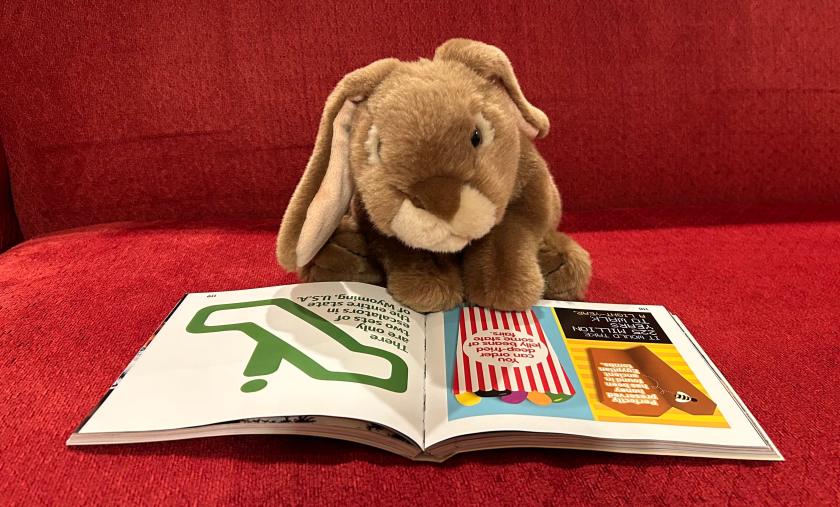 Caramel is reading Weird But True! 350 Outrageous Facts (Book 6) by National Geographic Kids.