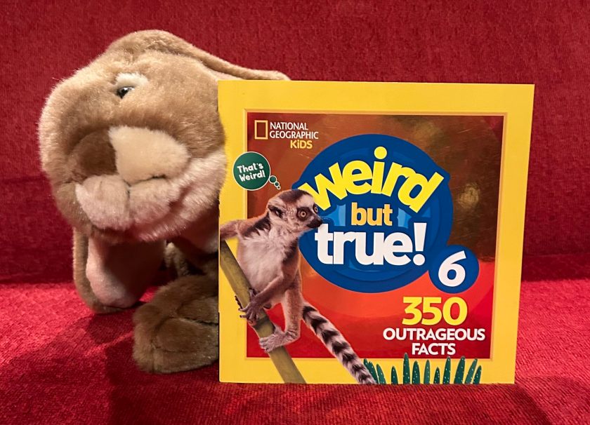 Caramel loved reading Weird But True! 350 Outrageous Facts (Book 6) by National Geographic Kids and is now wondering about the nine remaining books in the series.