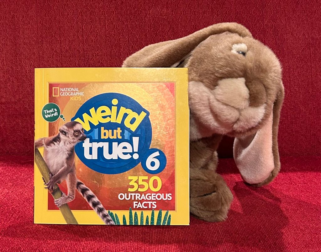 Some of Caramel's favorite nonfiction books this year.