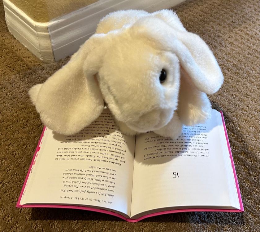 Marshmallow is reading Are You There God? It's Me, Margaret by Judy Blume.