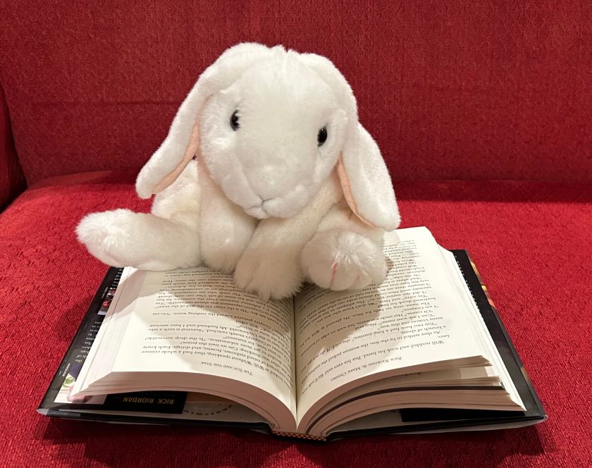 Marshmallow is reading The Sun and the Star: A Nico Di Angelo Adventure, co-written by Rick Riordan and Mark Oshiro.