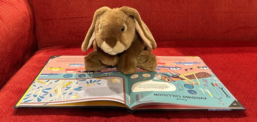 Caramel is reading Invented by Animals, written by Christiane Dorion and illustrated by Gosia Herba.