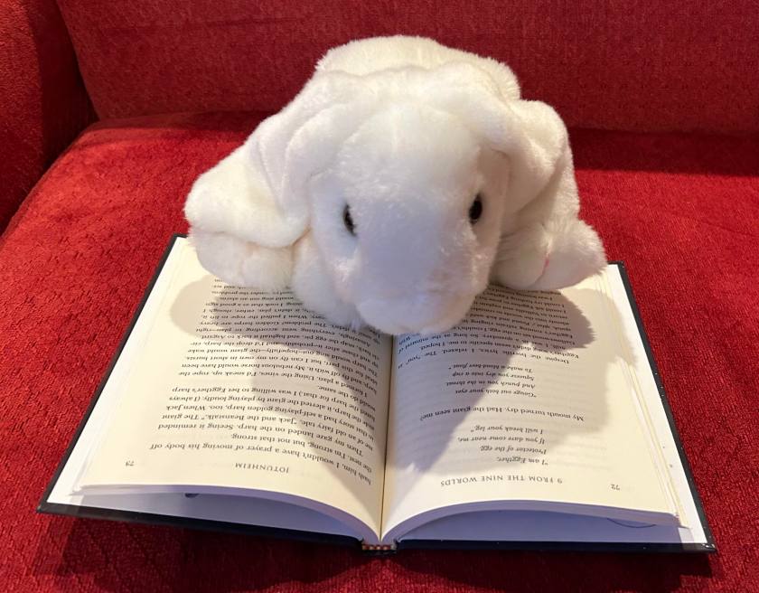 Marshmallow is reading Nine from the Nine Worlds by Rick Riordan.