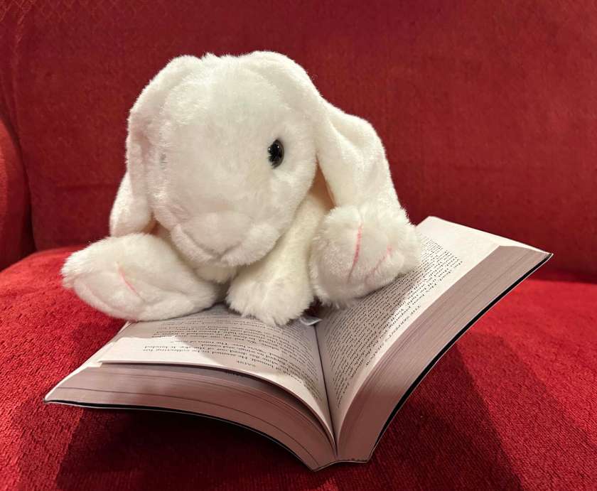Marshmallow is reading The Serpent's Shadow (Book Three of The Kane Chronicles series) by Rick Riordan.