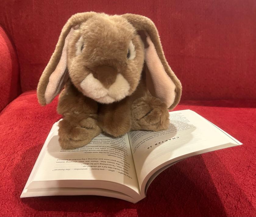 Caramel is reading Best Nerds Forever by James Patterson and Chris Grabenstein.