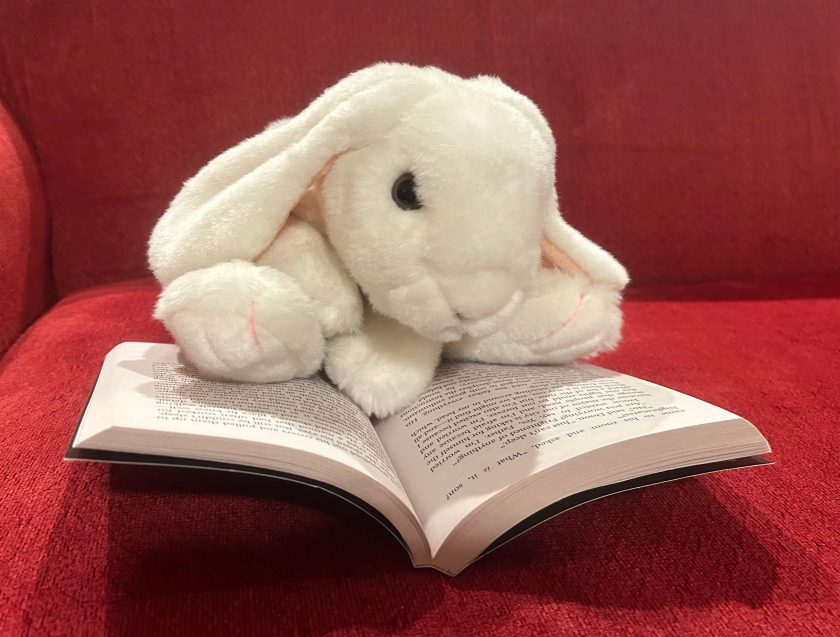 Marshmallow is reading The City of Ember by Jeanne DuPrau. 