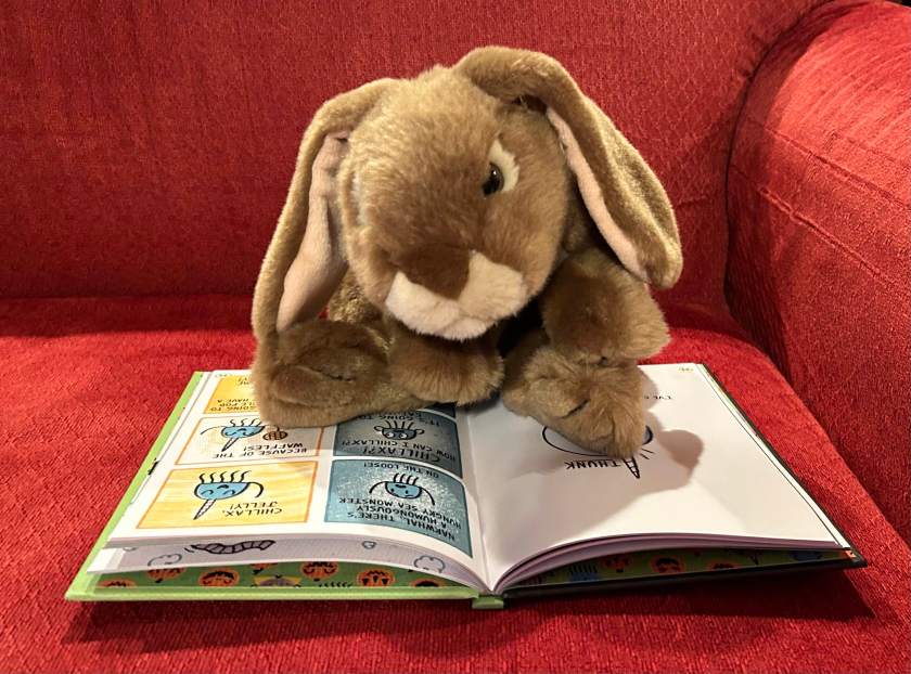 Caramel is reading A Super Scary Narwhalloween by Ben Clanton.