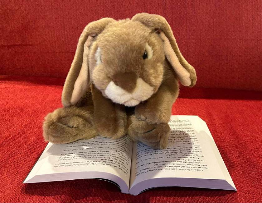 Caramel is reading The People of Sparks by Jeanne DuPrau.