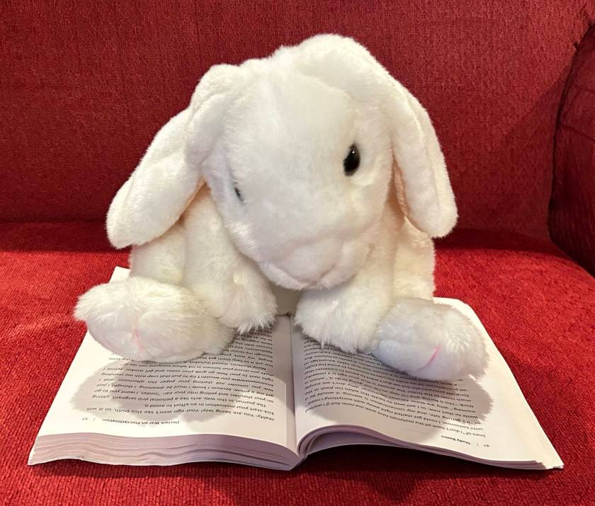 Marshmallow is reading How to Become a Straight-A Student by Cal Newport.
