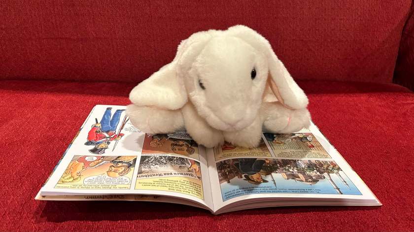 Marshmallow is reading The Wayfaring Journeyman: Oskar's Story from Apprentice to Master by Ingo Milton.