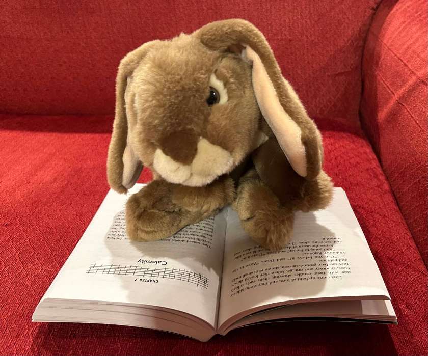 Caramel is reading The Diamond of Darkhold by Jeanne DuPrau. 