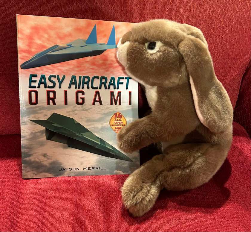 Caramel has enjoyed reading Easy Aircraft Origami by Jayson Merrill and is planning to make many of the aircraft projects in it in the coming weeks. 