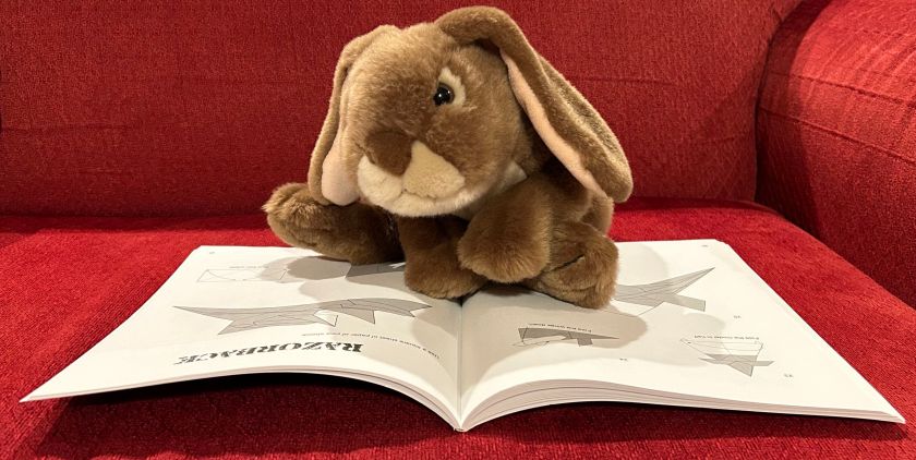 Caramel is reading Easy Aircraft Origami by Jayson Merrill.