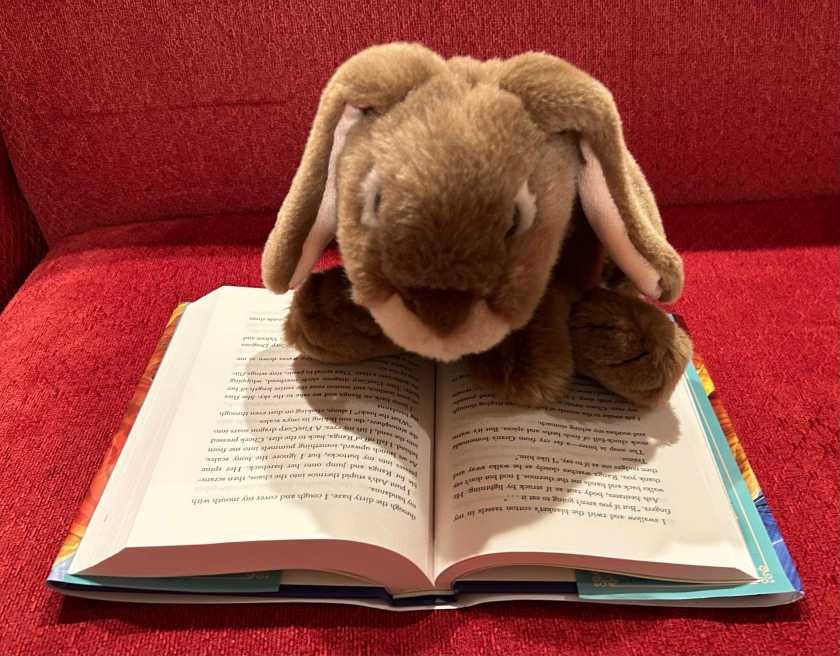 Caramel is reading The Great Texas Dragon Race by Kacy Ritter.
