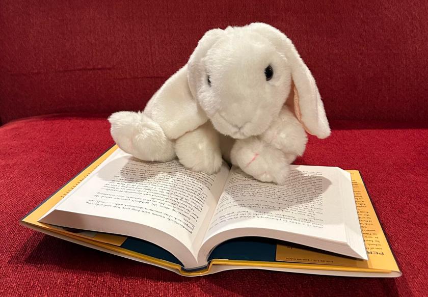 Marshmallow is reading The Chalice of the Gods by Rick Riordan.