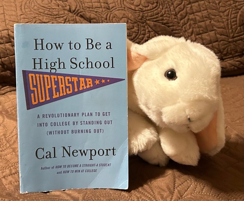 Marshmallow rates How to Be a High School Superstar by Cal Newport 100%.