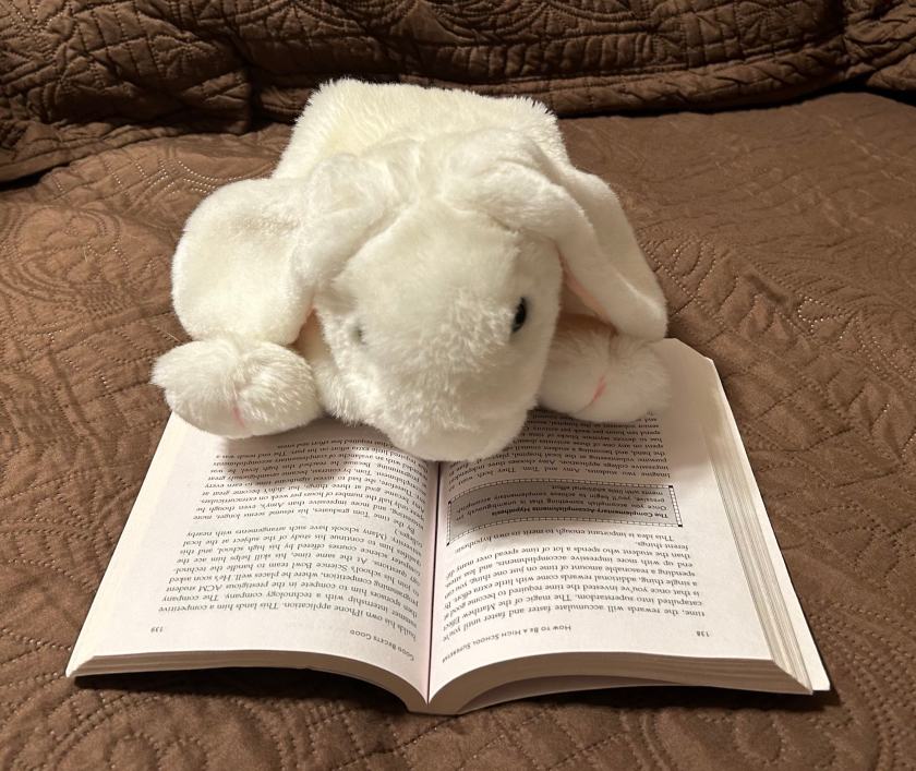 Marshmallow is reading How to Be a High School Superstar by Cal Newport.