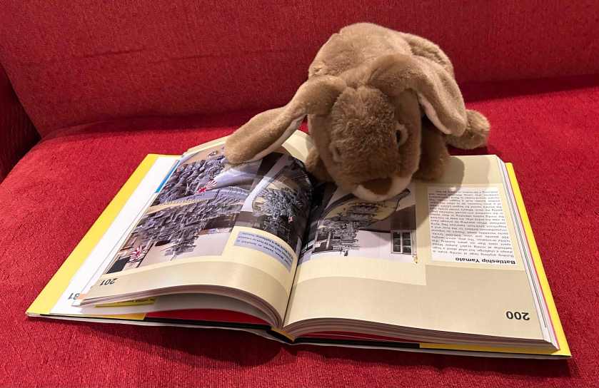 Caramel is reading The Cult of LEGO by John Baichtal and Joe Meno.