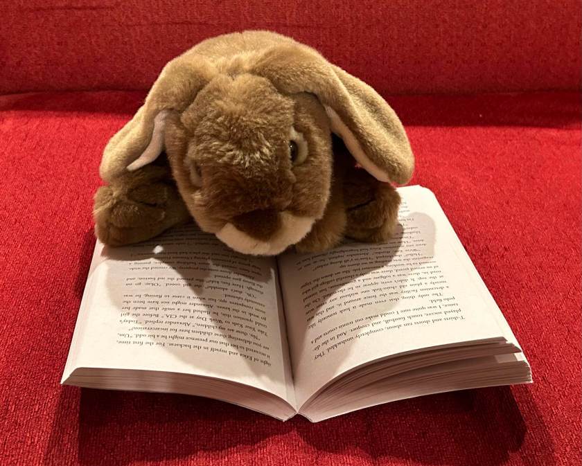 Caramel is reading Spy Camp by Stuart Gibbs.