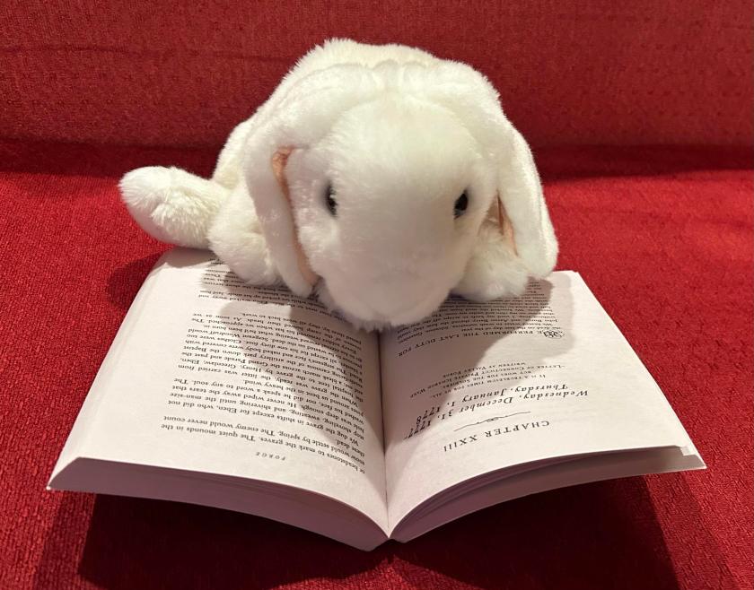 Marshmallow is reading Forge by Laurie Halse Anderson. 