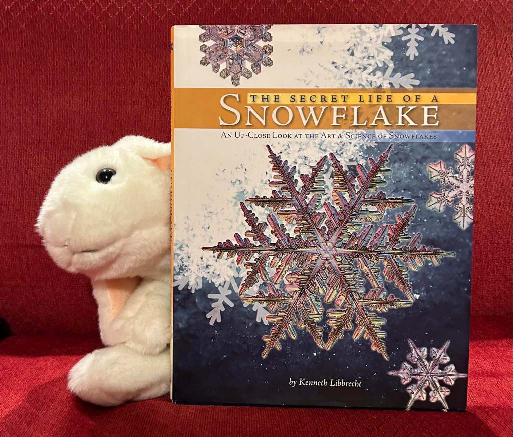 Some of Marshmallow's favorite nonfiction books this year.