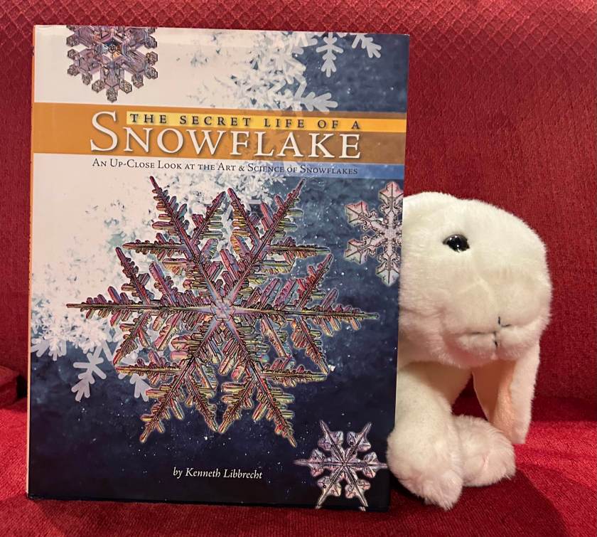 Marshmallow reviews The Secret Life of a Snowflake: An Up-Close Look at the Art and Science of Snowflakes by Kenneth Libbrecht.