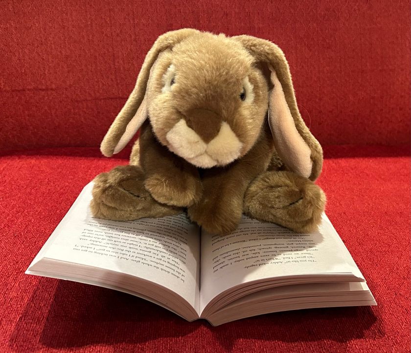 Caramel is reading Evil Spy School by Stuart Gibbs.