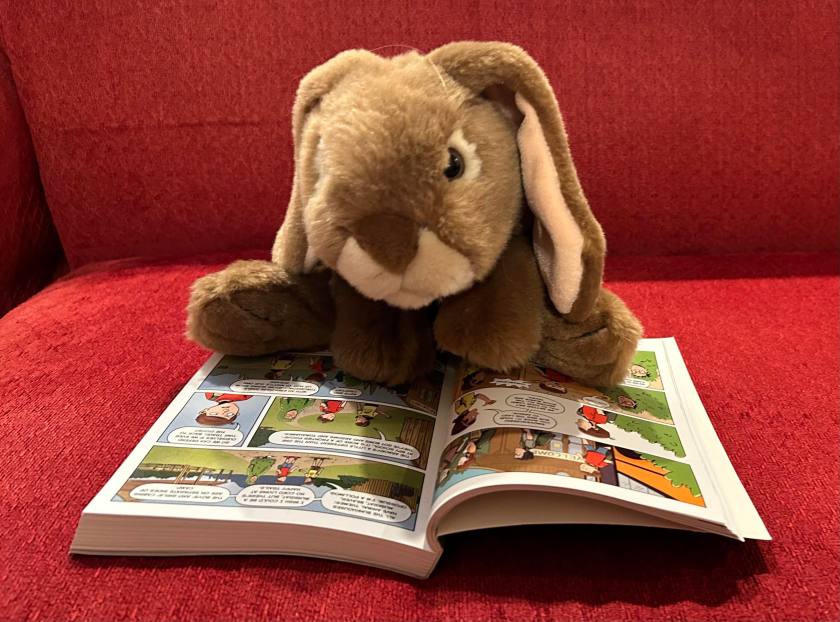 Caramel is reading Spy Camp: The Graphic Novel by Stuart Gibbs and Anjan Sarkar.