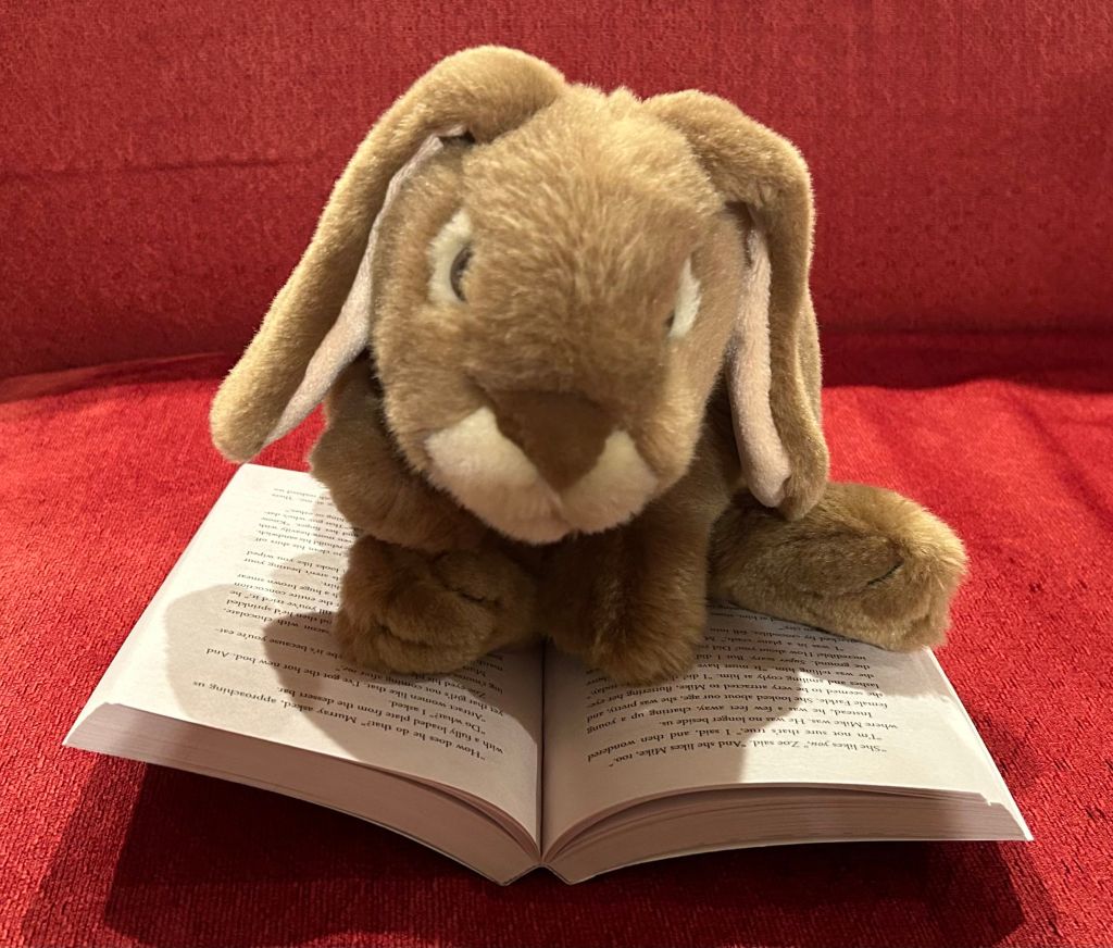 Caramel is reading Spy School Goes South by Stuart Gibbs.