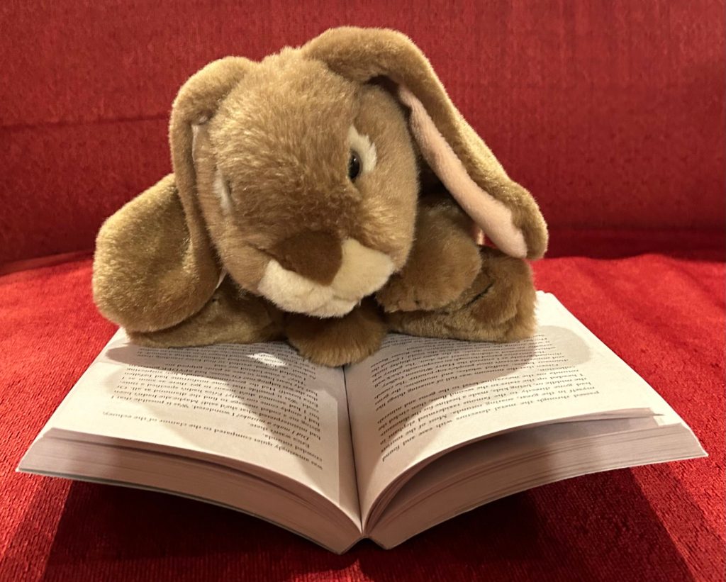 Caramel is reading Spy School: Secret Service by Stuart Gibbs.