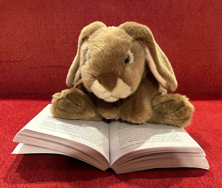 Caramel is reading Spy Ski School by Stuart Gibbs.