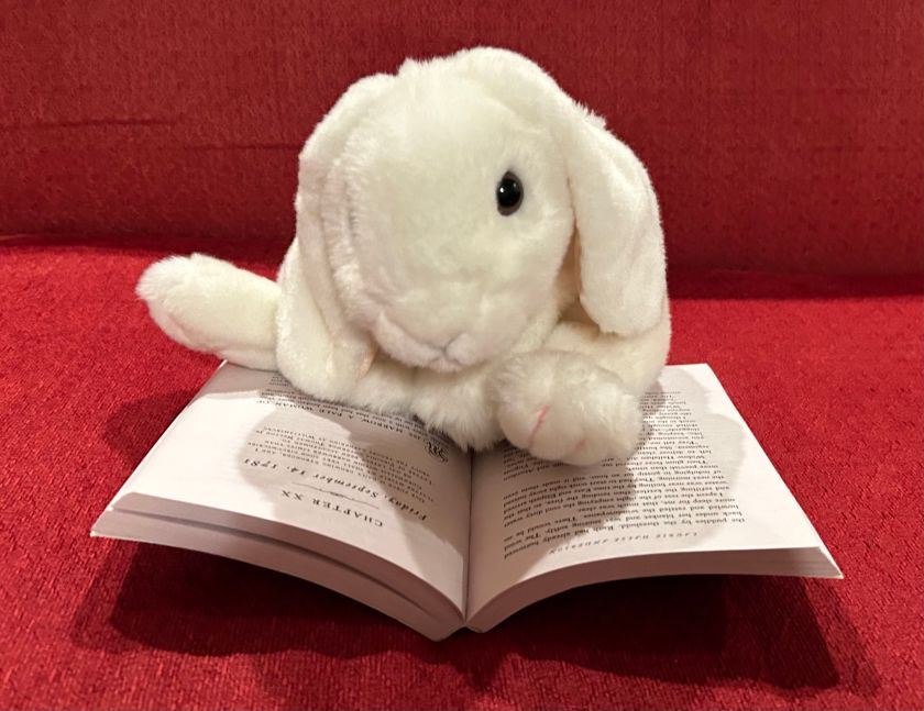 Marshmallow is reading Ashes by Laurie Halse Anderson.