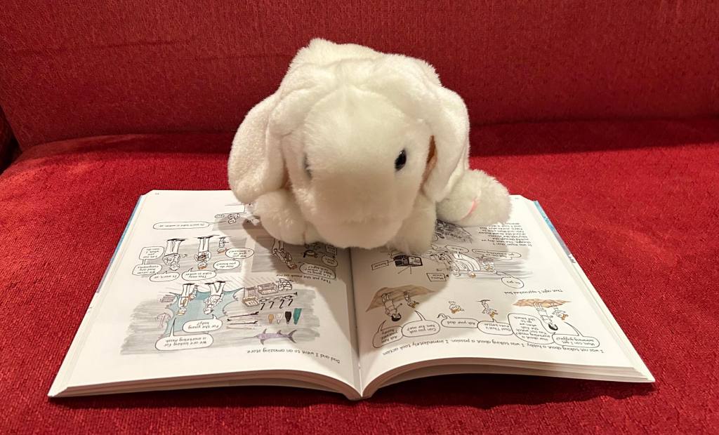 Marshmallow is reading Dare to Disappoint by Özge Samancı.