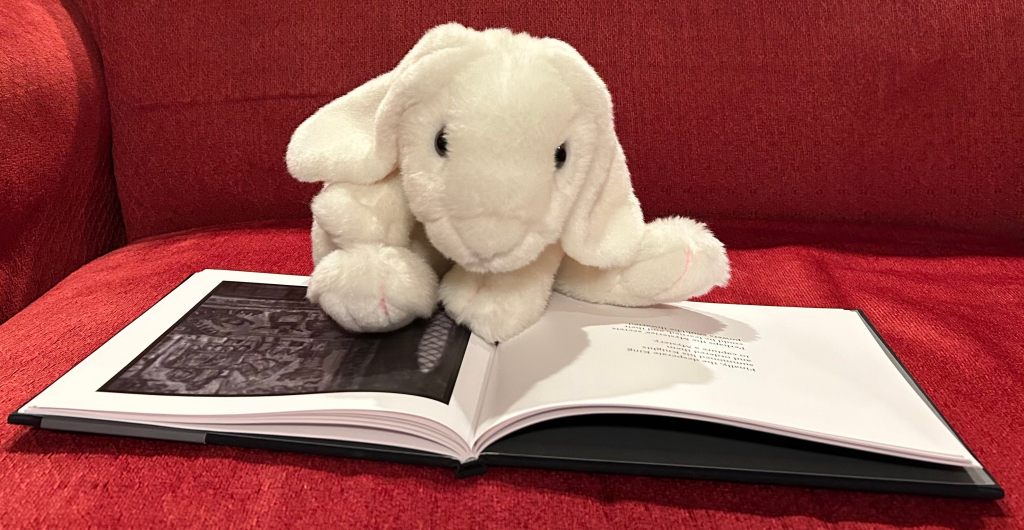 Marshmallow is reading The Mysteries by Bill Watterson and John Kascht.