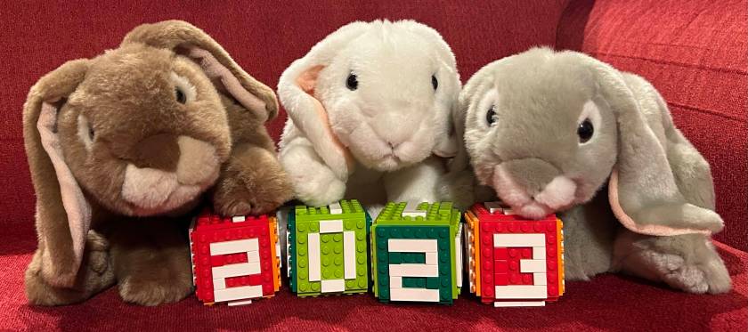 The book bunnies review the books of 2023.