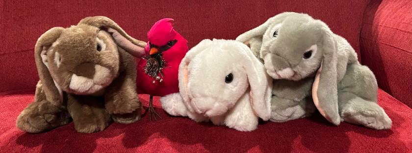 The book bunnies, and new friend Red, wish all bunnies around the world a happy new year in 2024, with lots of good books and many friends, old and new!