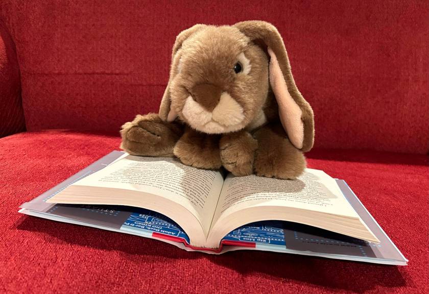 Caramel is reading Spy School At Sea by Stuart Gibbs.