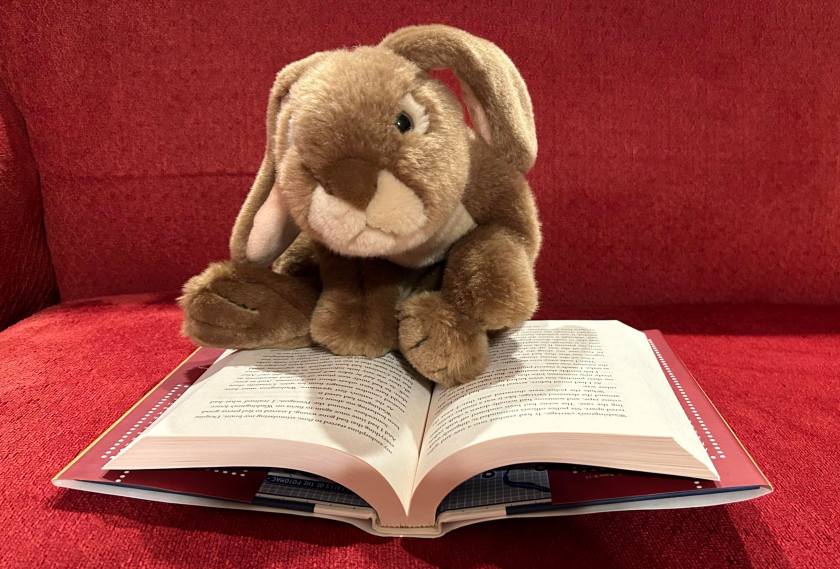 Caramel is reading Spy School Revolution by Stuart Gibbs.