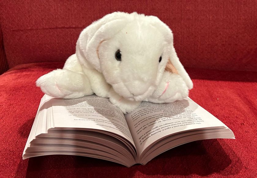 Marshmallow is reading Amari and the Night Brothers by B. B. Alston.